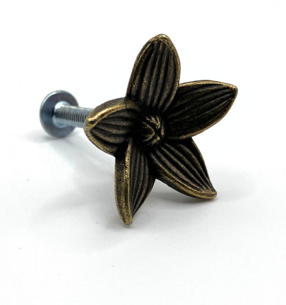 Bronze flower-shaped cabinet knob on a white background