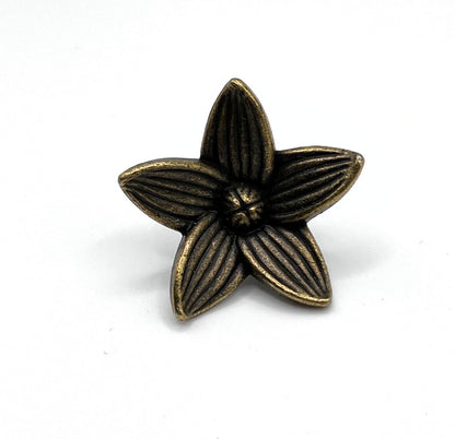 Bronze-colored flower-shaped knob on a white background