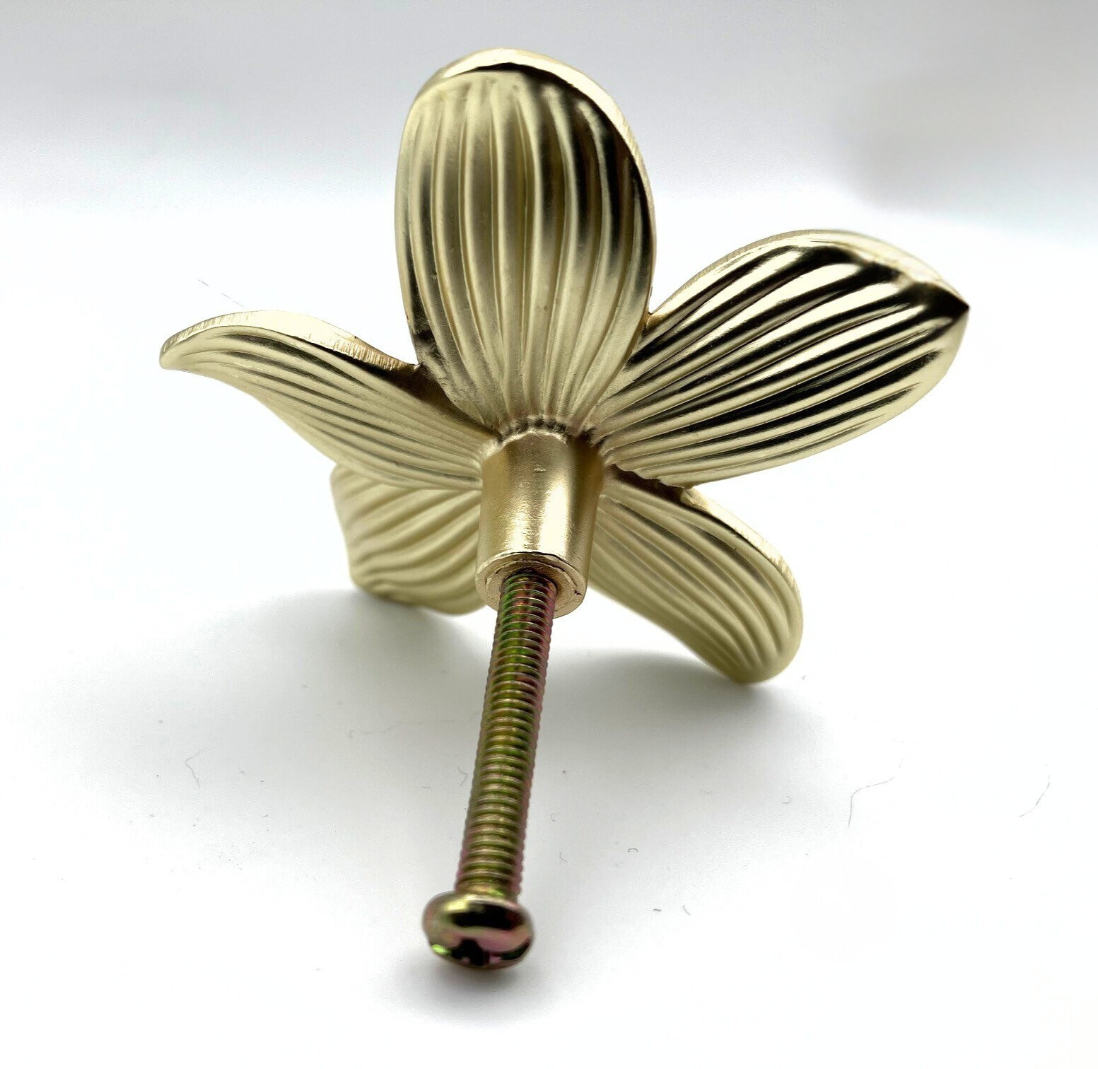Decorative gold brass knob with a ribbed design on a white background