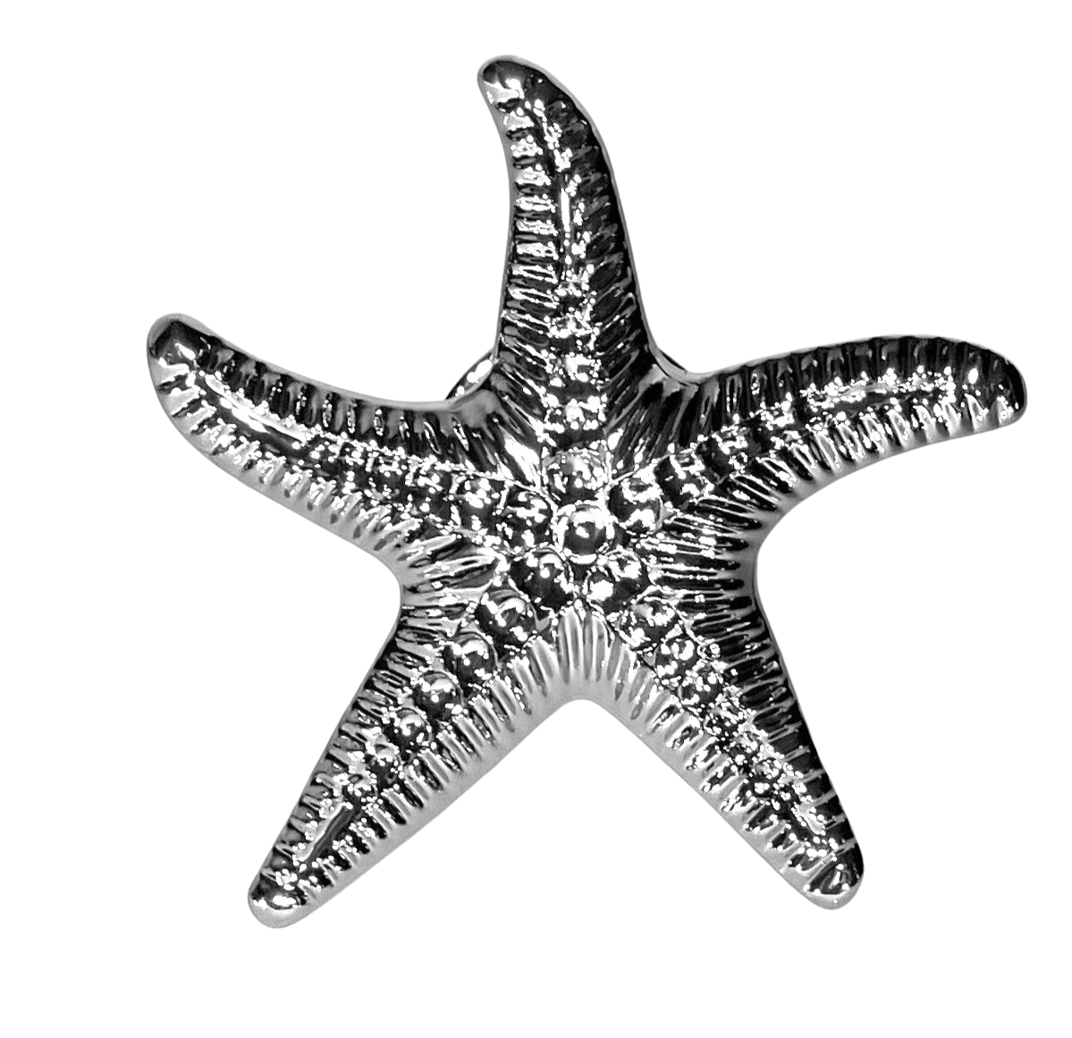 Silver starfish knob on a white background